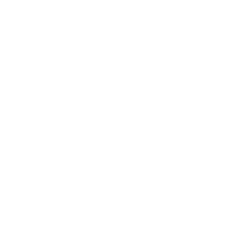 simple spectacular smiles